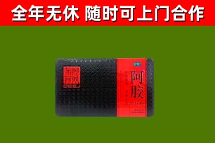 长白回收阿胶