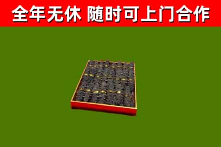 长白回收海参